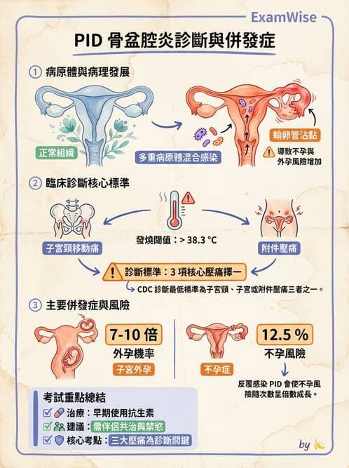 護理師 - 孕期生理變化與不適護理 - AI 圖文解析預覽