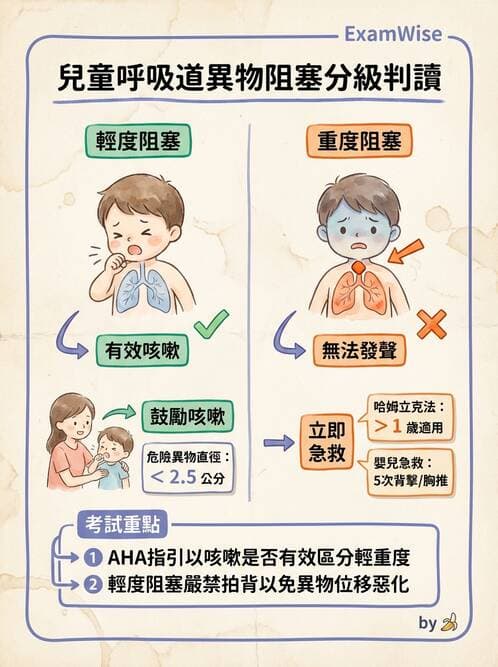 護理師 - 兒童呼吸系統疾病 - AI 圖文解析預覽