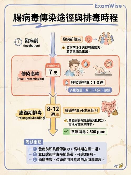 護理師 - 兒童傳染性疾病 - AI 圖文解析預覽