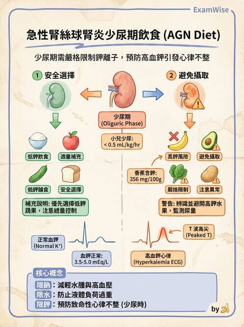 護理師 - 兒童泌尿系統疾病 - AI 圖文解析預覽