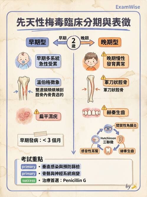 護理師 - 新生兒日常照護與篩檢 - AI 圖文解析預覽