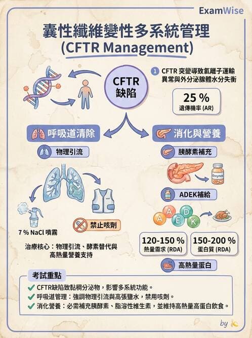 護理師 - 兒童呼吸系統疾病 - AI 圖文解析預覽