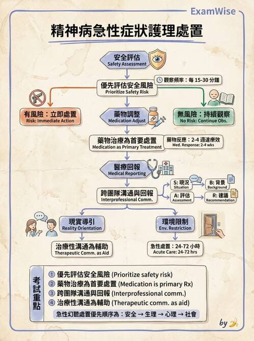 護理師 - 思覺失調症護理 - AI 圖文解析預覽