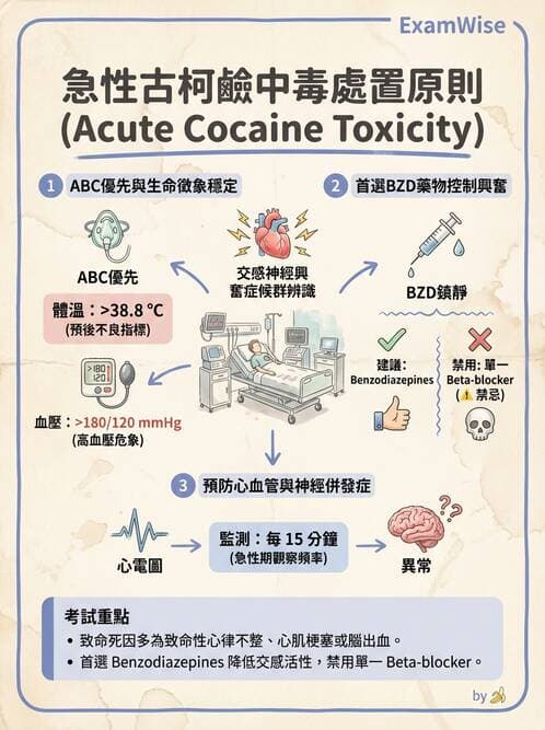 護理師 - 物質相關與成癮障礙 - AI 圖文解析預覽
