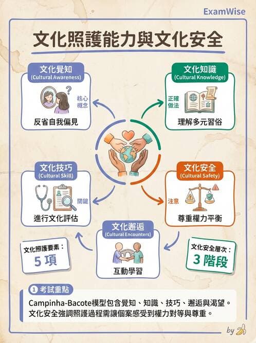 護理師 - 婦幼與青少年健康 - AI 圖文解析預覽