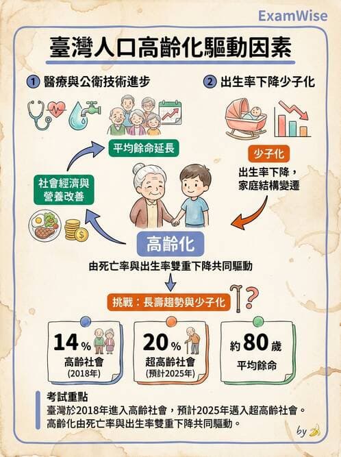護理師 - 生命統計與健康指標 - AI 圖文解析預覽