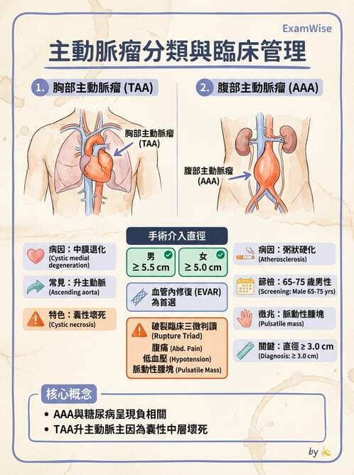 內專 - 主動脈與周邊血管疾病 - AI 圖文解析預覽