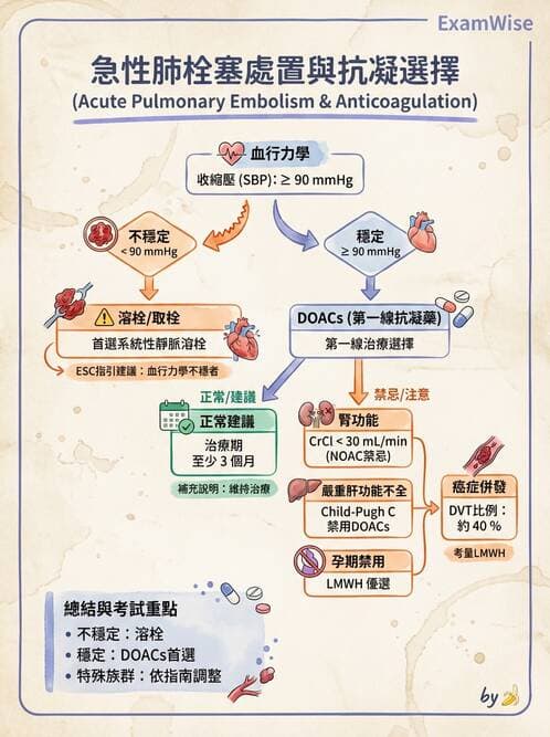 內專 - 主動脈與周邊血管疾病 - AI 圖文解析預覽