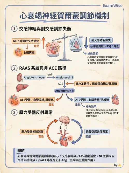 內專 - 心衰竭 - AI 圖文解析預覽