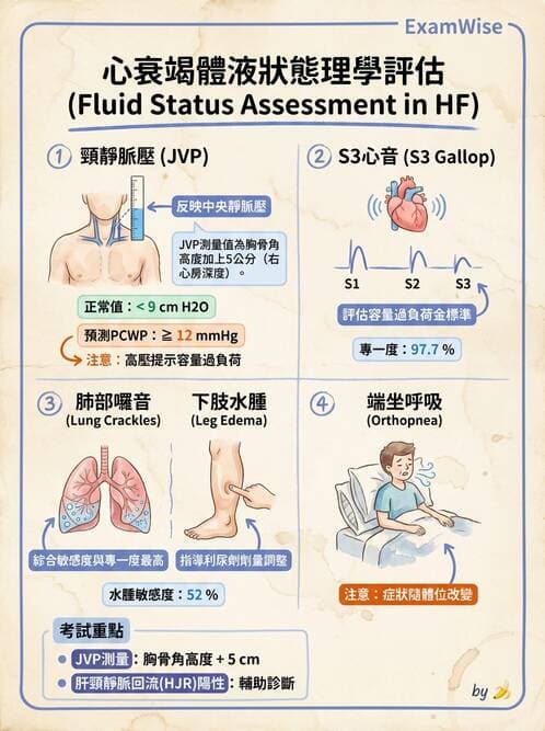 內專 - 心衰竭 - AI 圖文解析預覽