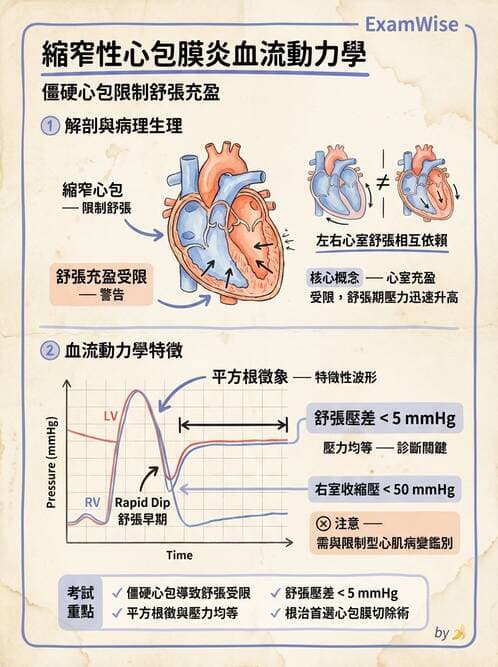 內專 - 心內膜炎與心包膜疾病 - AI 圖文解析預覽