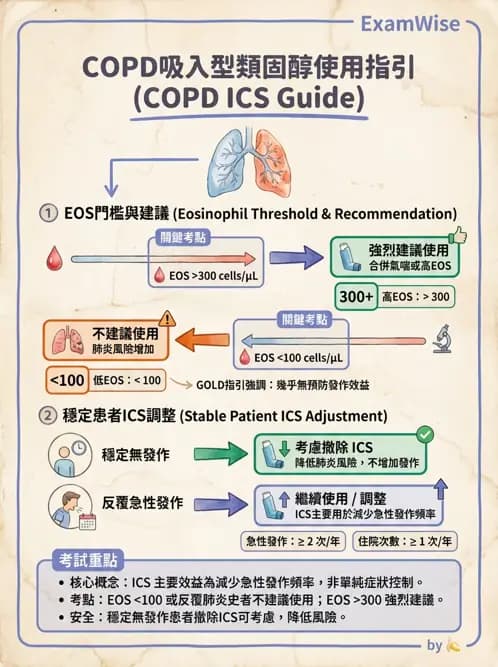 內專 - COPD 穩定期診斷與治療 - AI 圖文解析預覽