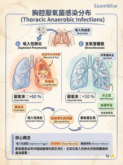 內專 - 社區性肺炎 - AI 圖文解析預覽