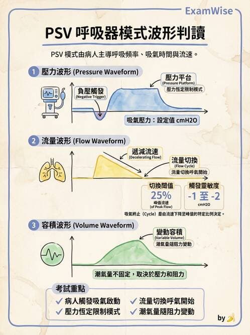 內專 - 機械通氣 - AI 圖文解析預覽