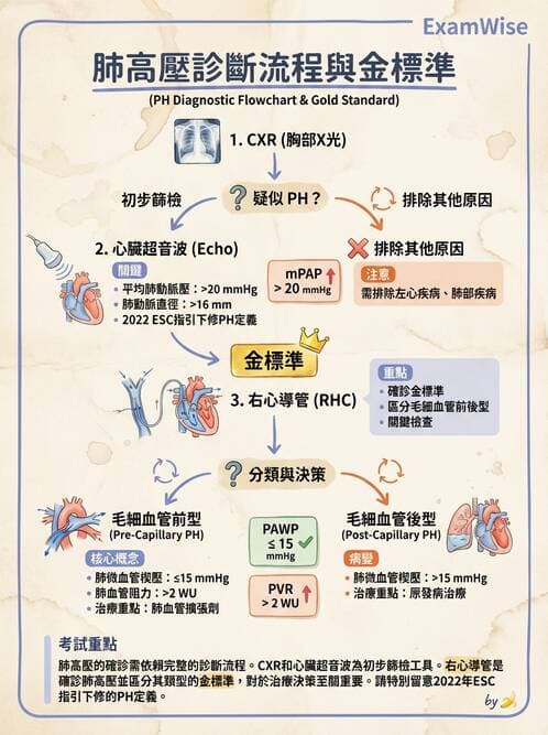 內專 - 肺血管疾病 - AI 圖文解析預覽