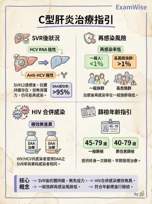 內專 - C型肝炎 - AI 圖文解析預覽
