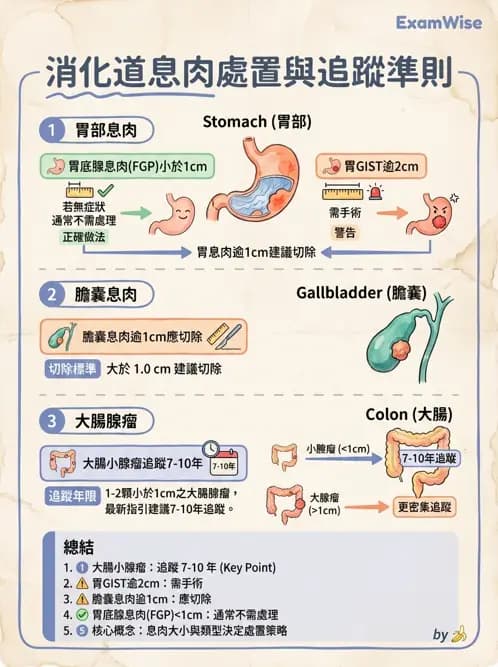 內專 - 胃癌與消化道腫瘤 - AI 圖文解析預覽
