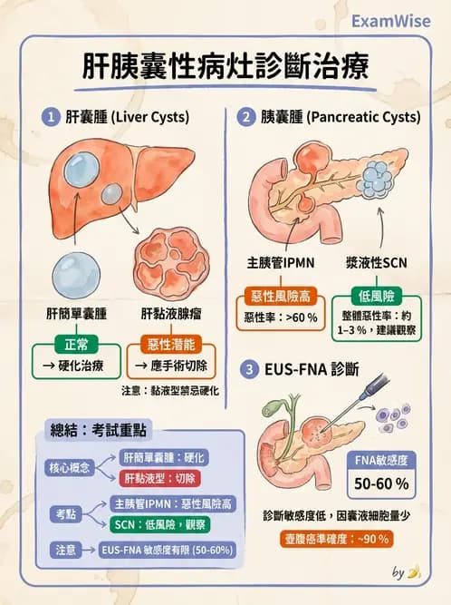 內專 - 胰臟疾病 - AI 圖文解析預覽