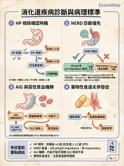 內專 - 幽門螺旋桿菌診斷與根除 - AI 圖文解析預覽
