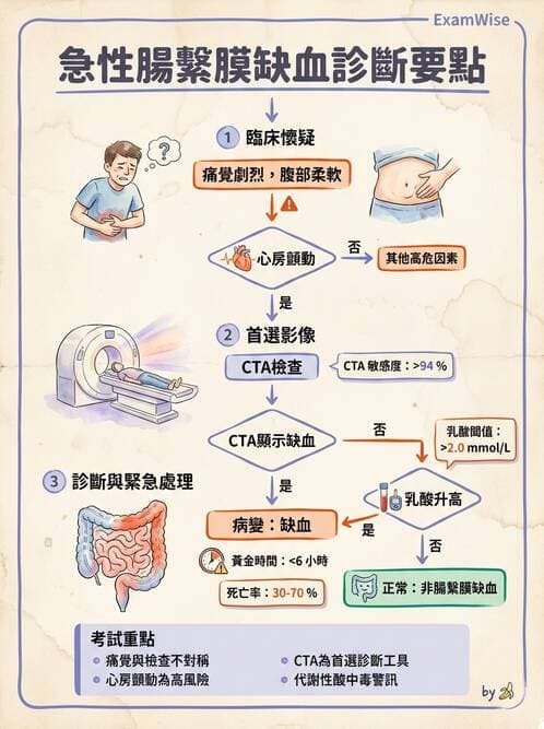 內專 - 憩室病、缺血性腸病與消化道出血 - AI 圖文解析預覽