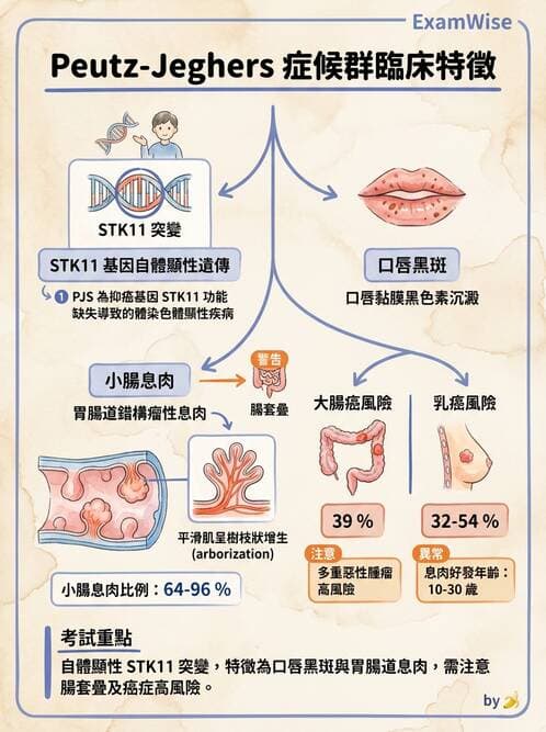內專 - 大腸直腸癌與息肉 - AI 圖文解析預覽
