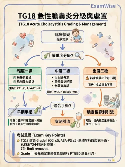 內專 - 膽道疾病與膽酸生理 - AI 圖文解析預覽
