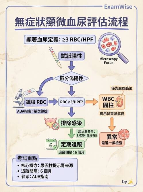內專 - 腎間質疾病與其他 - AI 圖文解析預覽
