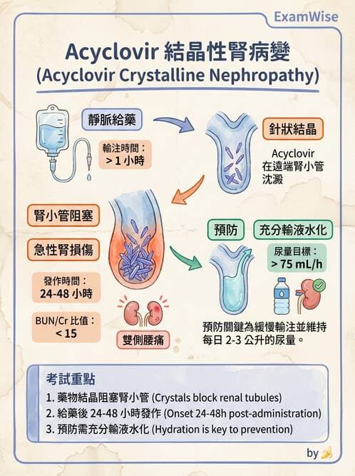 內專 - 腎間質疾病與其他 - AI 圖文解析預覽