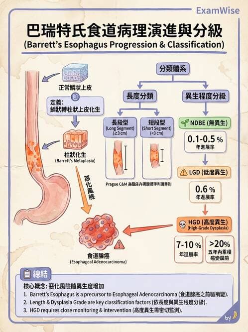 內專 - GERD、Barrett's食道與食道炎 - AI 圖文解析預覽