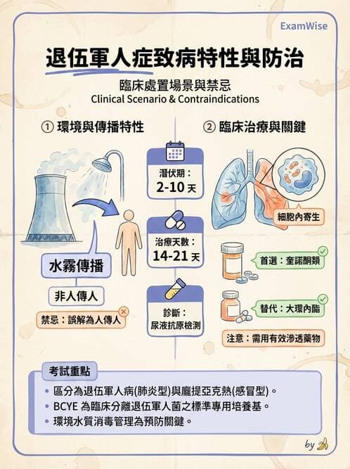內專 - 社區性肺炎 - AI 圖文解析預覽