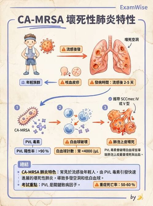 內專 - 革蘭氏陽性菌感染 - AI 圖文解析預覽