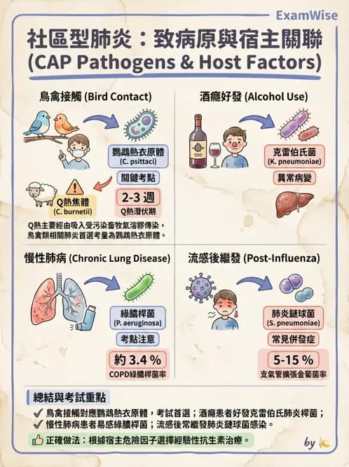 內專 - 呼吸道與中樞神經感染 - AI 圖文解析預覽