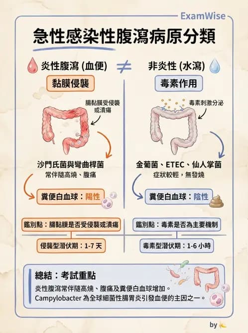 內專 - 抗藥性菌與感染管控 - AI 圖文解析預覽
