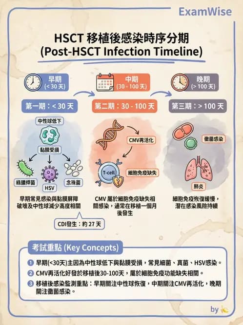 內專 - 感染總論與敗血症 - AI 圖文解析預覽