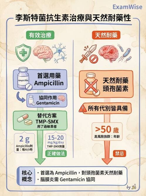 內專 - 厭氧菌、梭狀桿菌與特殊細菌 - AI 圖文解析預覽
