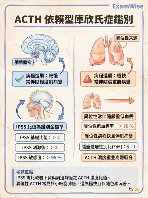 內專 - 腦垂體疾病 - AI 圖文解析預覽