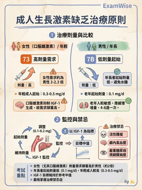 內專 - 腦垂體疾病 - AI 圖文解析預覽