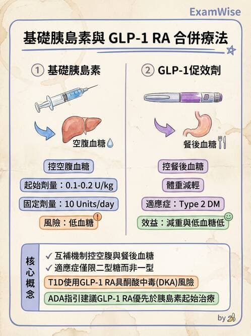內專 - 胰島素與GLP-1 RA治療 - AI 圖文解析預覽