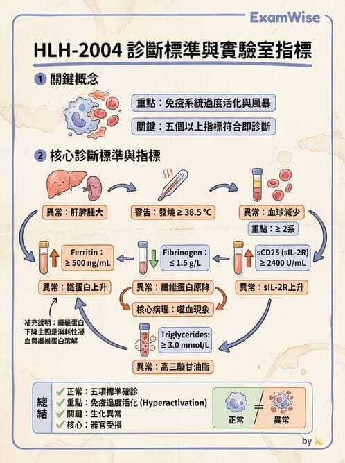 內專 - 免疫學基礎與特殊免疫反應 - AI 圖文解析預覽