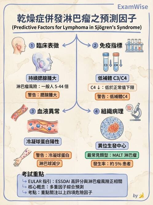 內專 - 乾燥症與IgG4相關疾病 - AI 圖文解析預覽