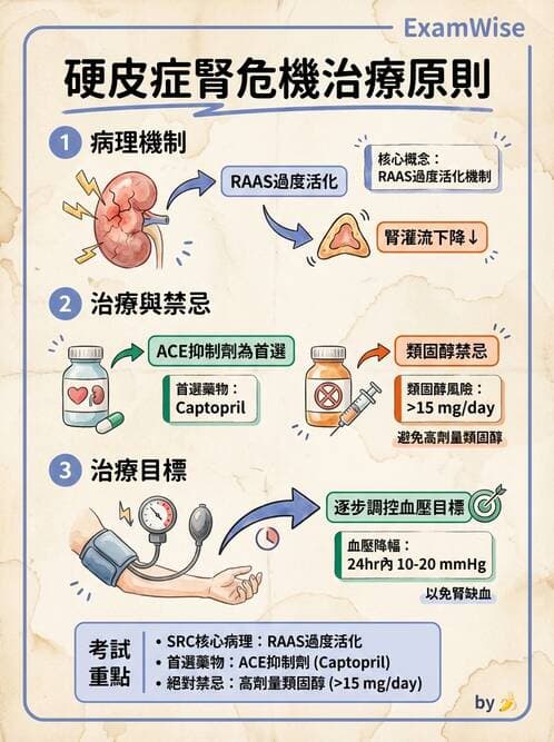 內專 - 系統性硬化症 - AI 圖文解析預覽