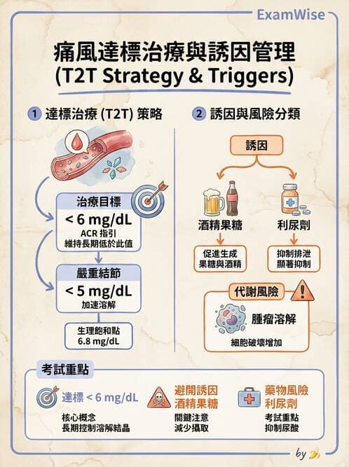 內專 - 痛風、結晶性與退化性關節炎 - AI 圖文解析預覽