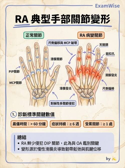 RA - 類風濕性關節炎 - AI 圖文解析預覽