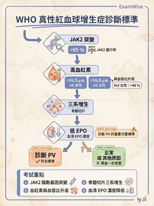 內專 - 紅血球增生症與PNH - AI 圖文解析預覽