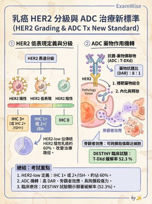 內專 - 免疫與標靶治療 - AI 圖文解析預覽
