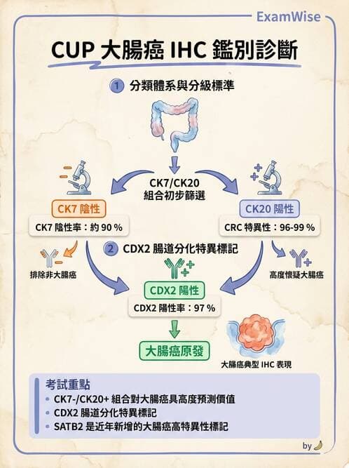 內專 - 腫瘤總論與篩檢 - AI 圖文解析預覽