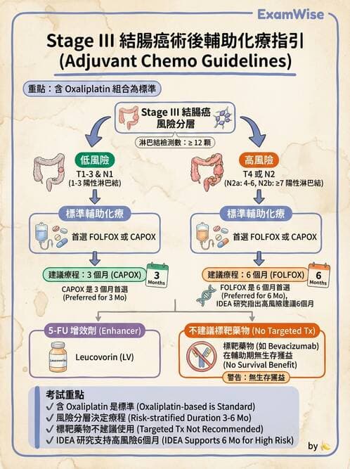 內專 - 消化系統腫瘤 - AI 圖文解析預覽