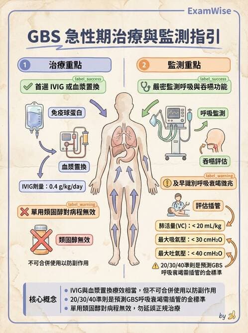 內專 - 神經肌肉接合與周邊神經疾病 - AI 圖文解析預覽