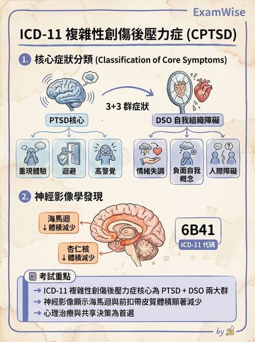 內專 - 焦慮症與其他精神疾患 - AI 圖文解析預覽
