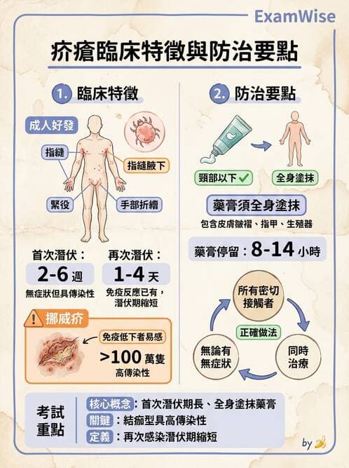 內專 - 皮膚感染症 - AI 圖文解析預覽